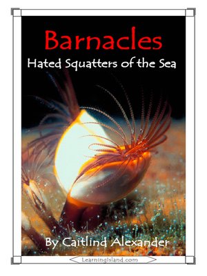 cover image of Barnacles